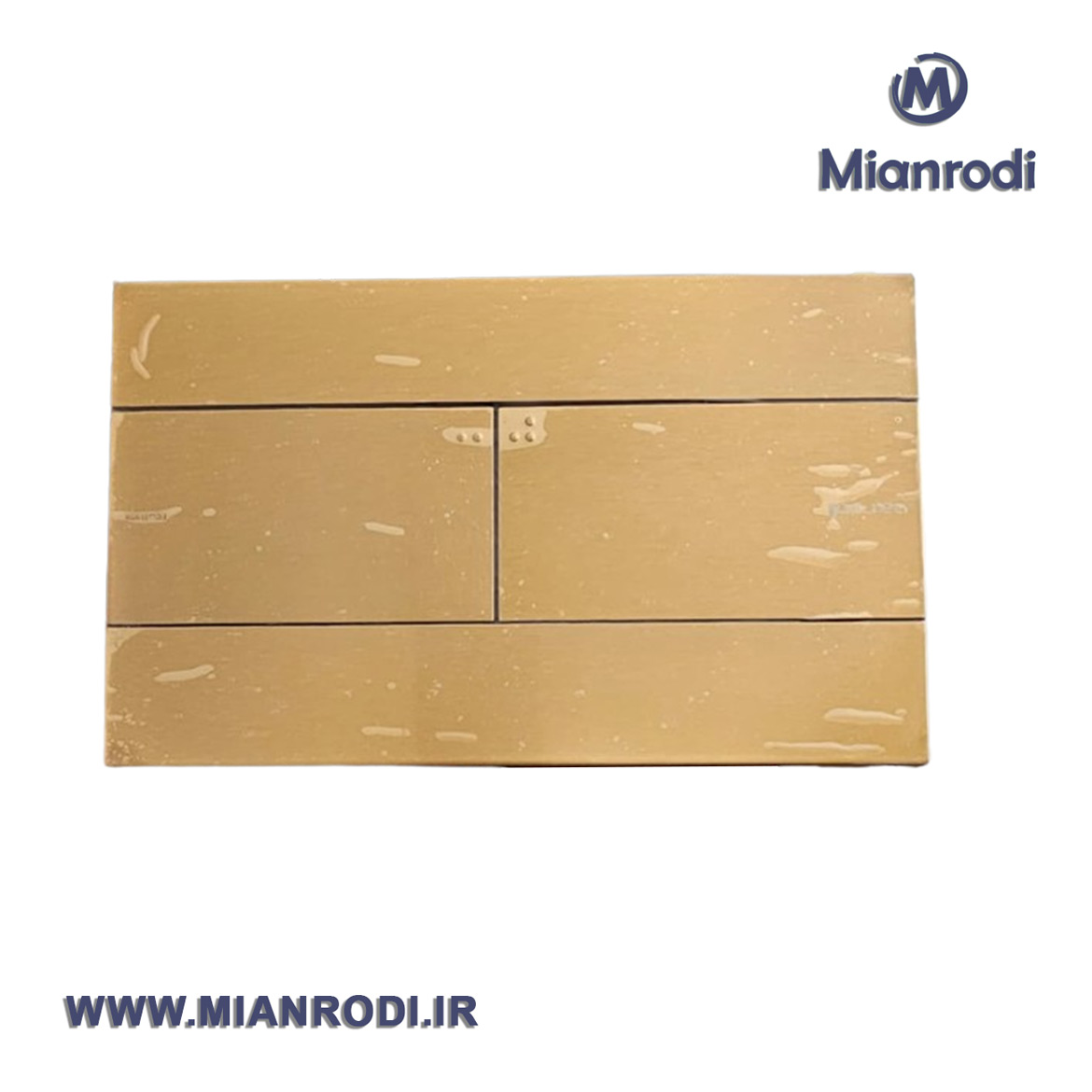 صفحه کلید ایمن آب مدل فلت فرون استیل |صفحه-کلید-ایمن-آب-مدل-پلنت|میانرودی|لوکس ساختمانی| ساختمان| ساختمانی| تاسیسات| فلاش تانک سرویس| سرویس بهداشتی| توالت| دستشویی|بهترین تاسیسات|جامایع توکارطلایی خش دار