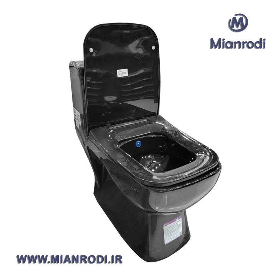 توالت-فرنگی-یک-تکه-گاتریا-مدل-ساترون-مشکی|لوکس ساختمانی|لوکس ساختمانی میانرودی| تجهیزات ساختمانی| لوله و اتصلات| ساختمانی